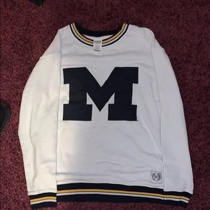 PINK Michigan Crew Neck Hoodie